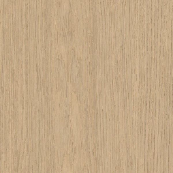 Caesar Pure Sheer 30x120 XT WEB Caesar Pure Sheer 30x120 XT WEB